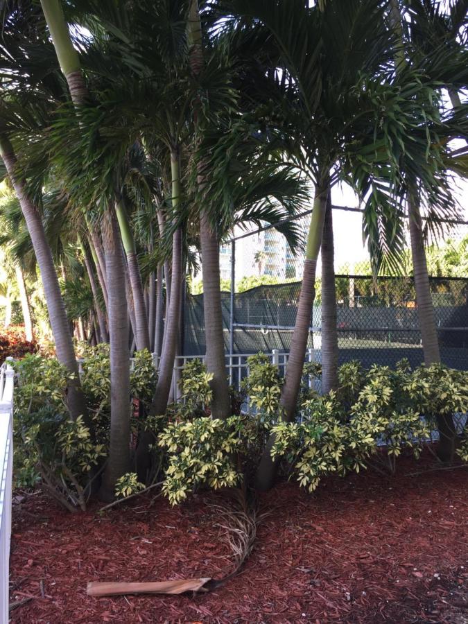 Appartamento Disfruta Sunny Isles Ocean 1206 Str-02816 Miami Beach Esterno foto
